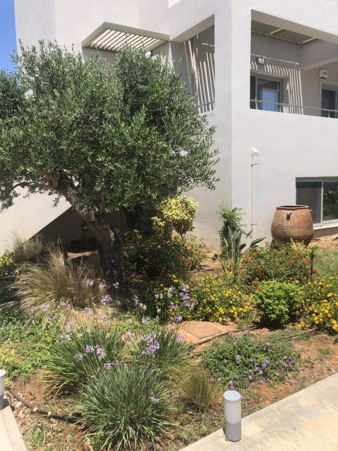 Tavronitis Villa Oliveto מראה חיצוני תמונה
